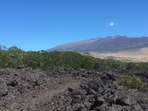 Mauna Kea in the distance.